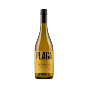 New arrivals plaga chardonnay