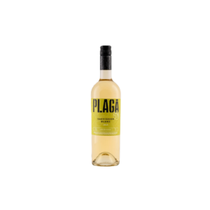 New arrivals plaga sauvignon blanc